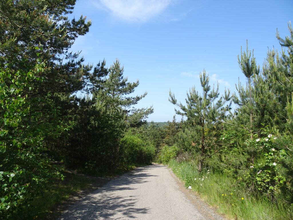 Discovery Hoge Kempen National Park: Mechelse Heide