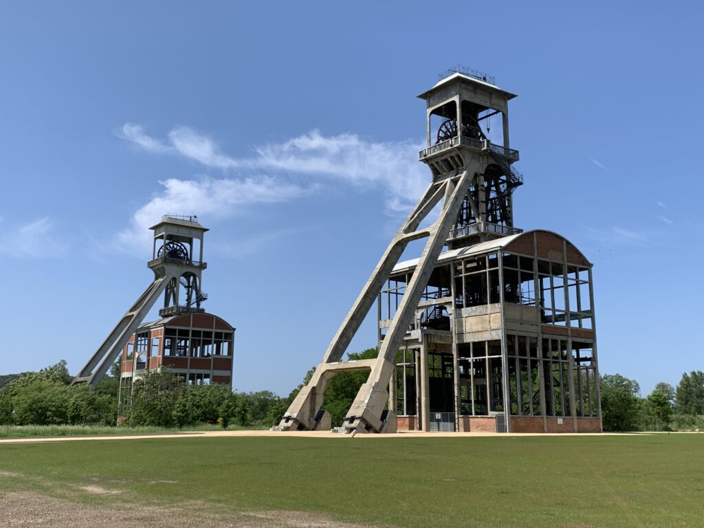 Discovery Hoge Kempen National Park: Mechelse Heide