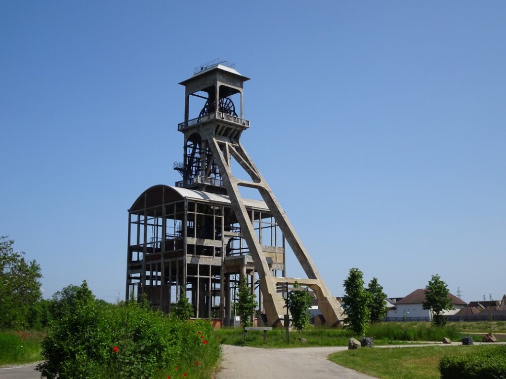 Discovery Hoge Kempen National Park: Mechelse Heide