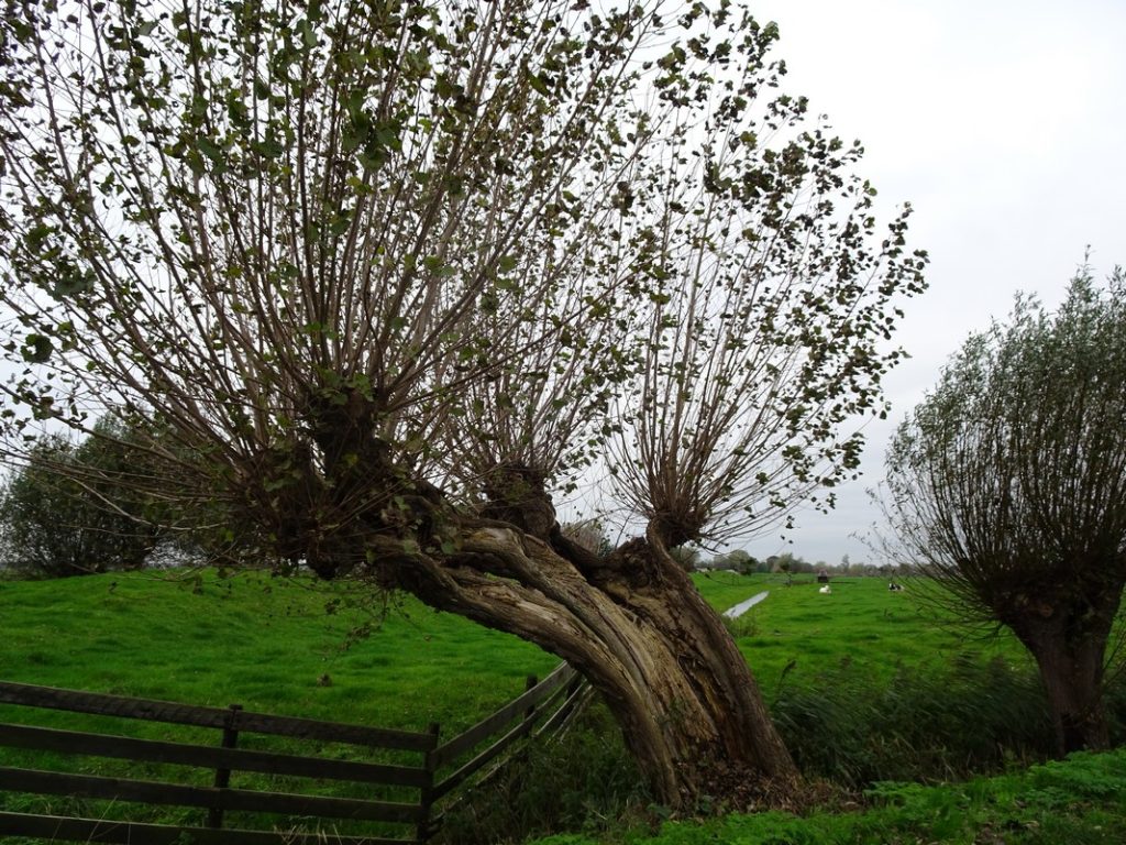 Het Noord-Hollandpad | Long-distance walk from Texel to het Gooi