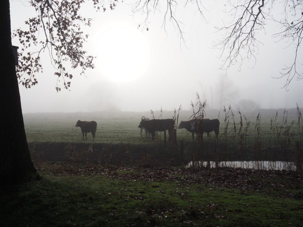 Het Noord-Hollandpad | Long-distance walk from Texel to het Gooi